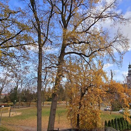 Wyjatkowy Apartament W Miliczu Bagian luar foto